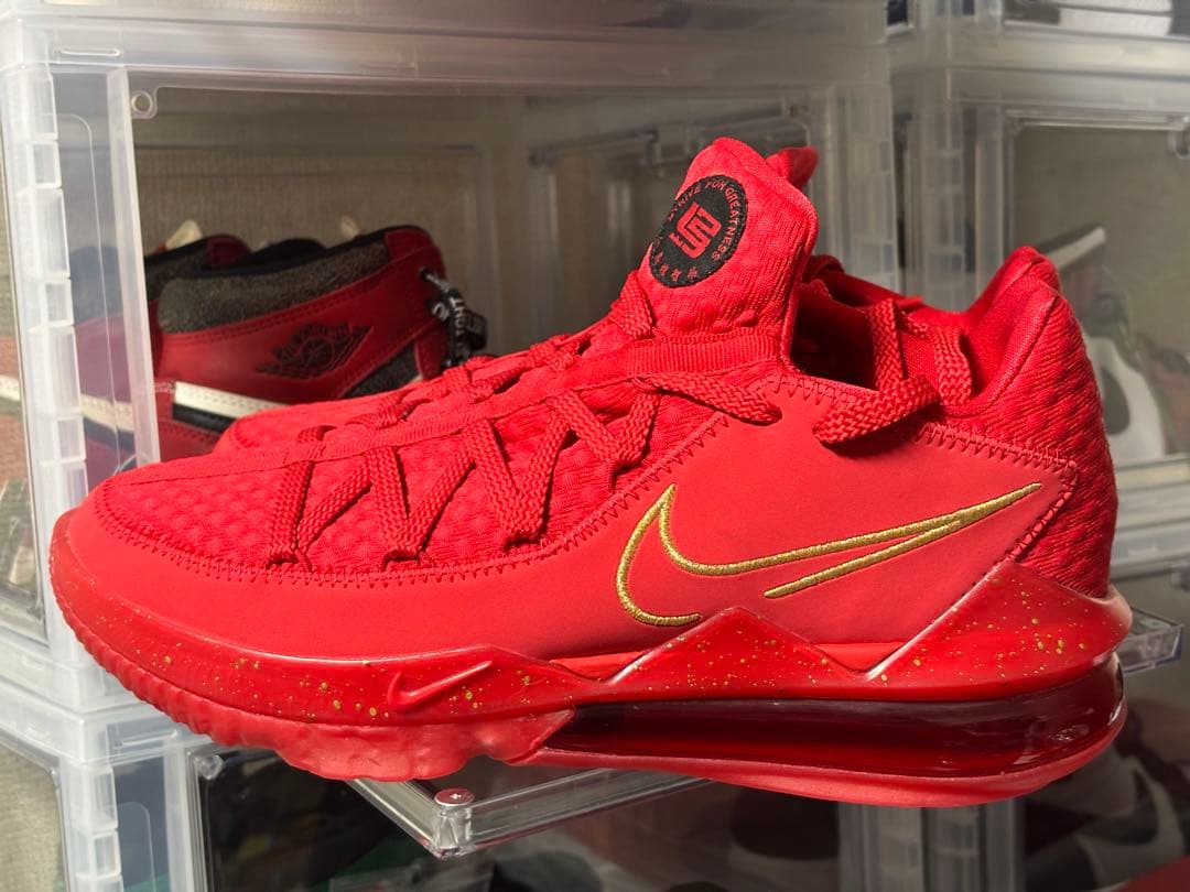 NIKE レブロン17 dc5009 600