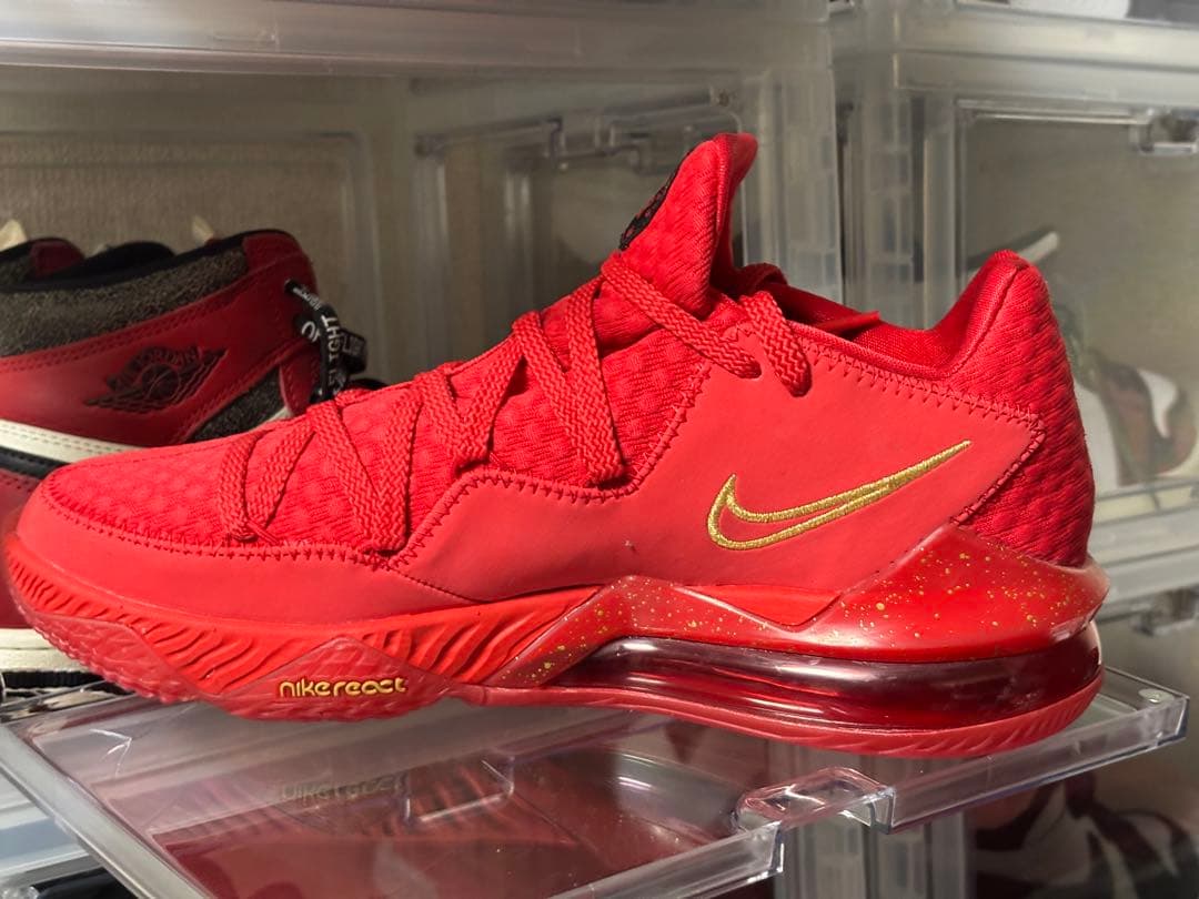 NIKE レブロン17 dc5009 600