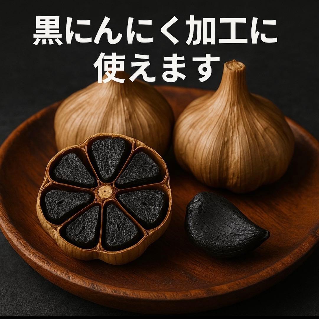 【大特価】青森県 福地ホワイト にんにく L 10kg 種にんにく 家庭用
