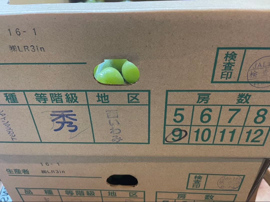 ⑥【島根県産】シャインマスカット約5キロ