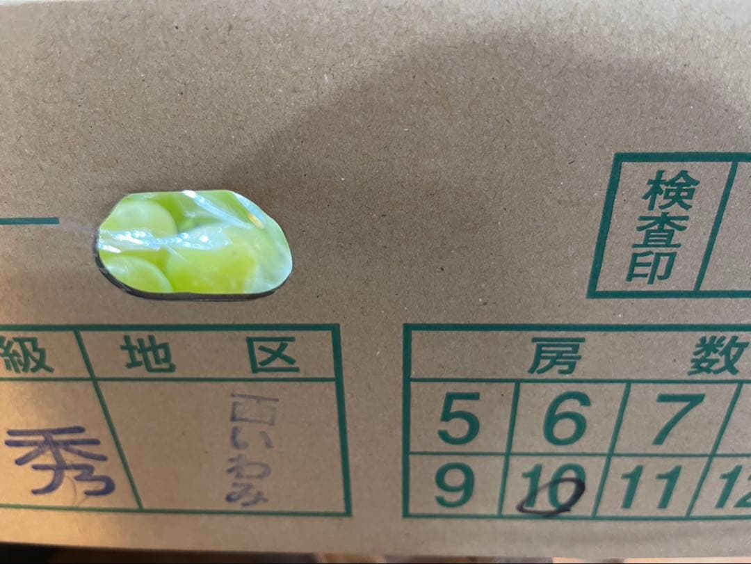 ⑥【島根県産】シャインマスカット約5キロ