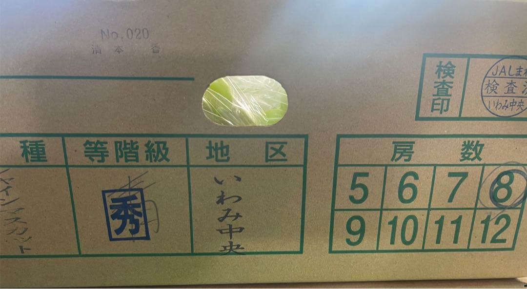 ⑥【島根県産】シャインマスカット約5キロ