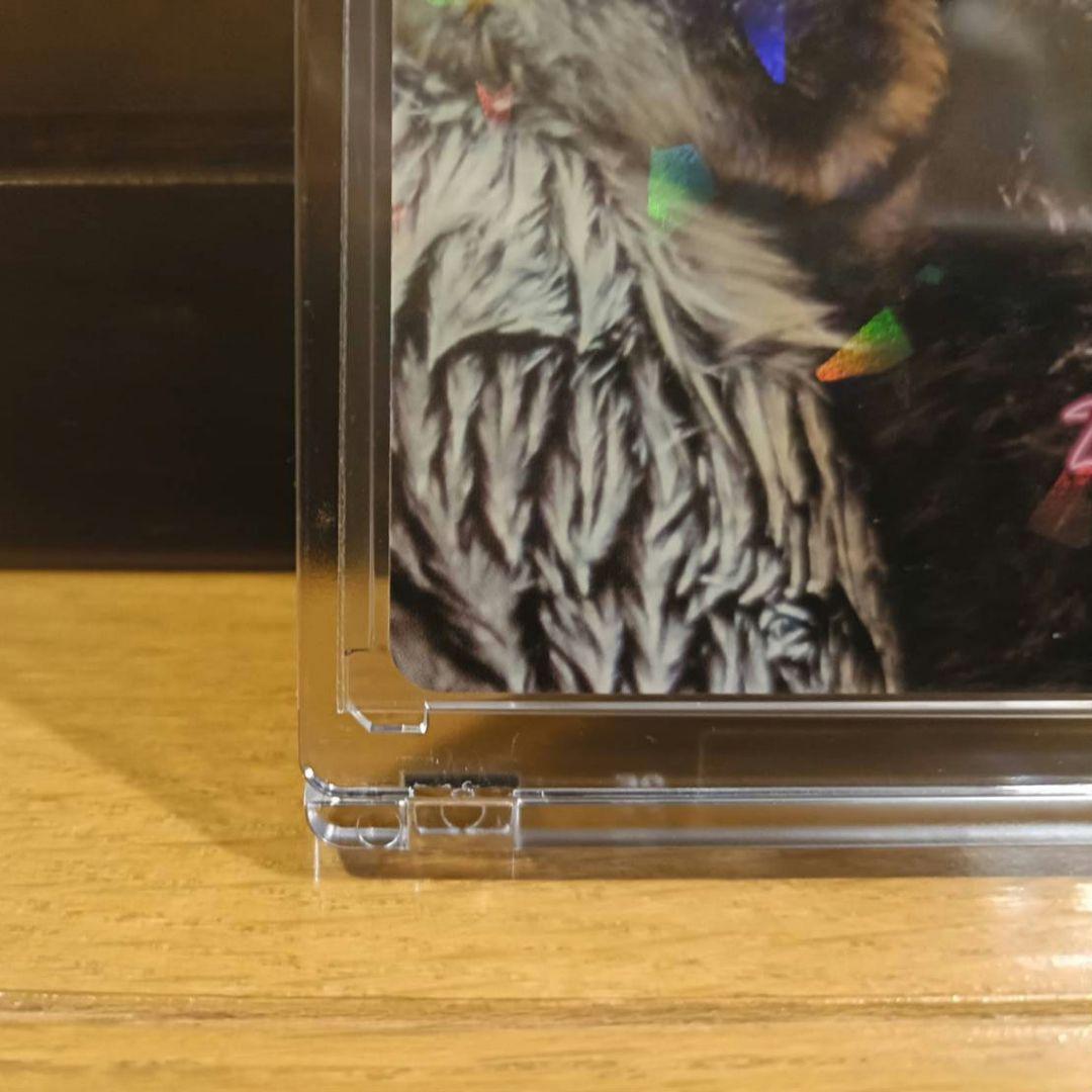 鳥羽水族館　コレクションカード　メイ（レア）　ラッコ　赤ちゃん