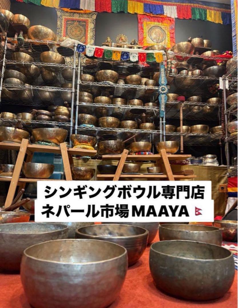 【098】SPECIAL GOLD BROWNティンシャ・アスタマンガル