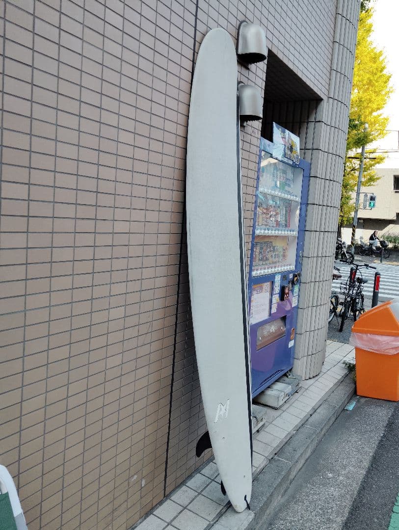 ファンボードソフトボードロングボード8.0クロコダイルスキン 横浜市南区引き取り