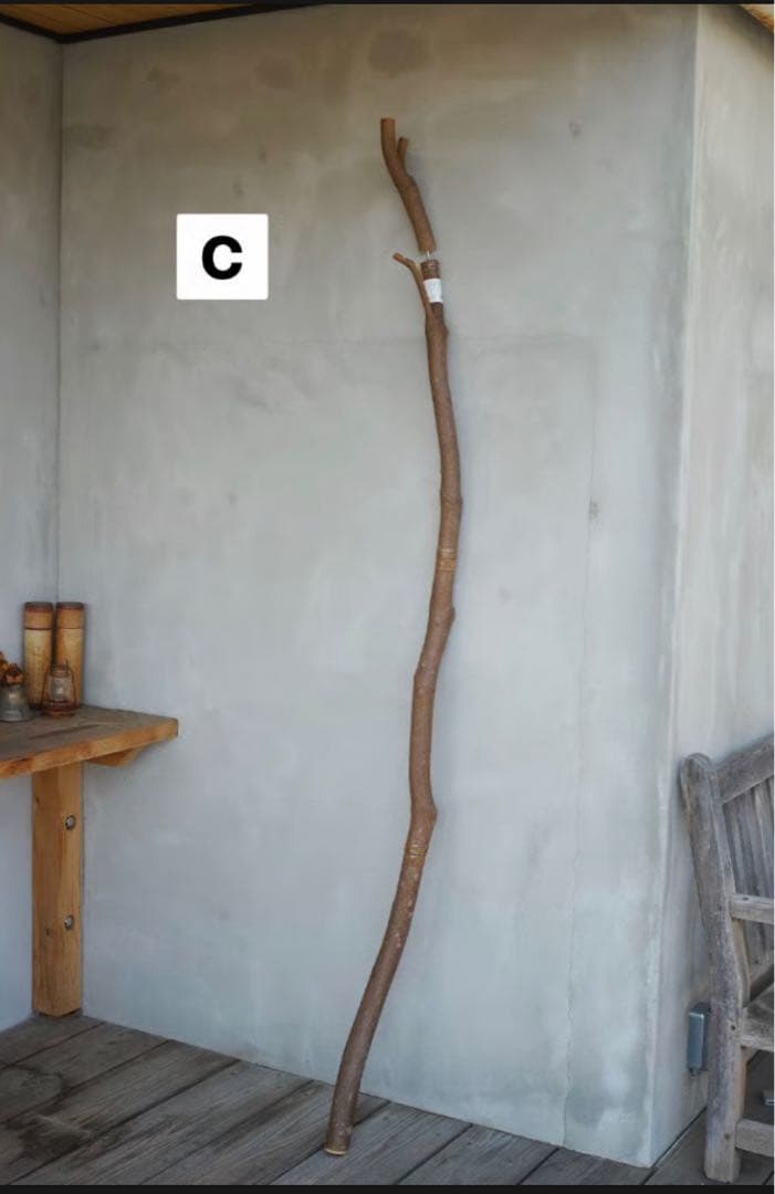 ENTOHOポール　（エントホタープポール）