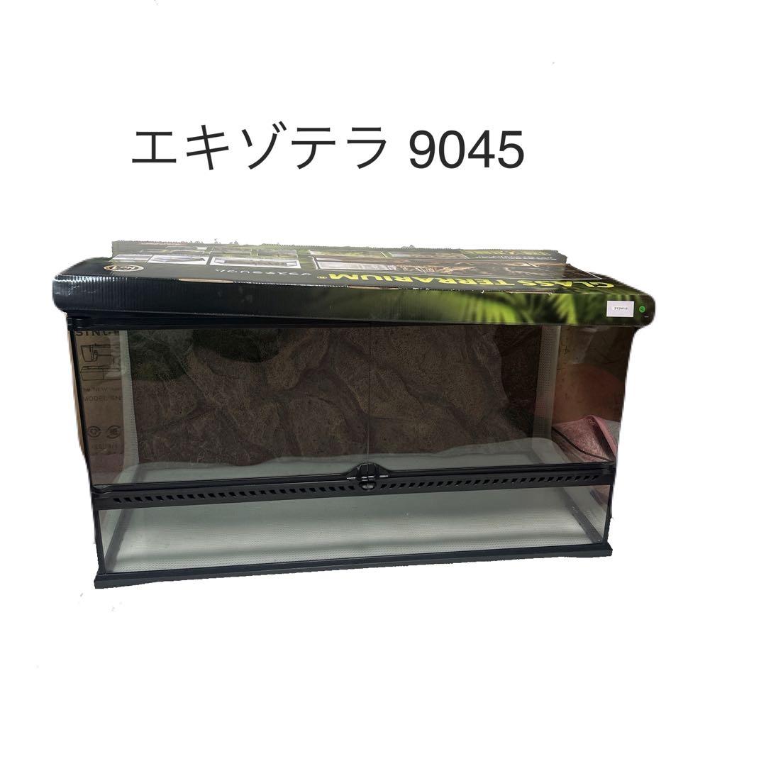 エキゾテラ　グラステラリウム9045
