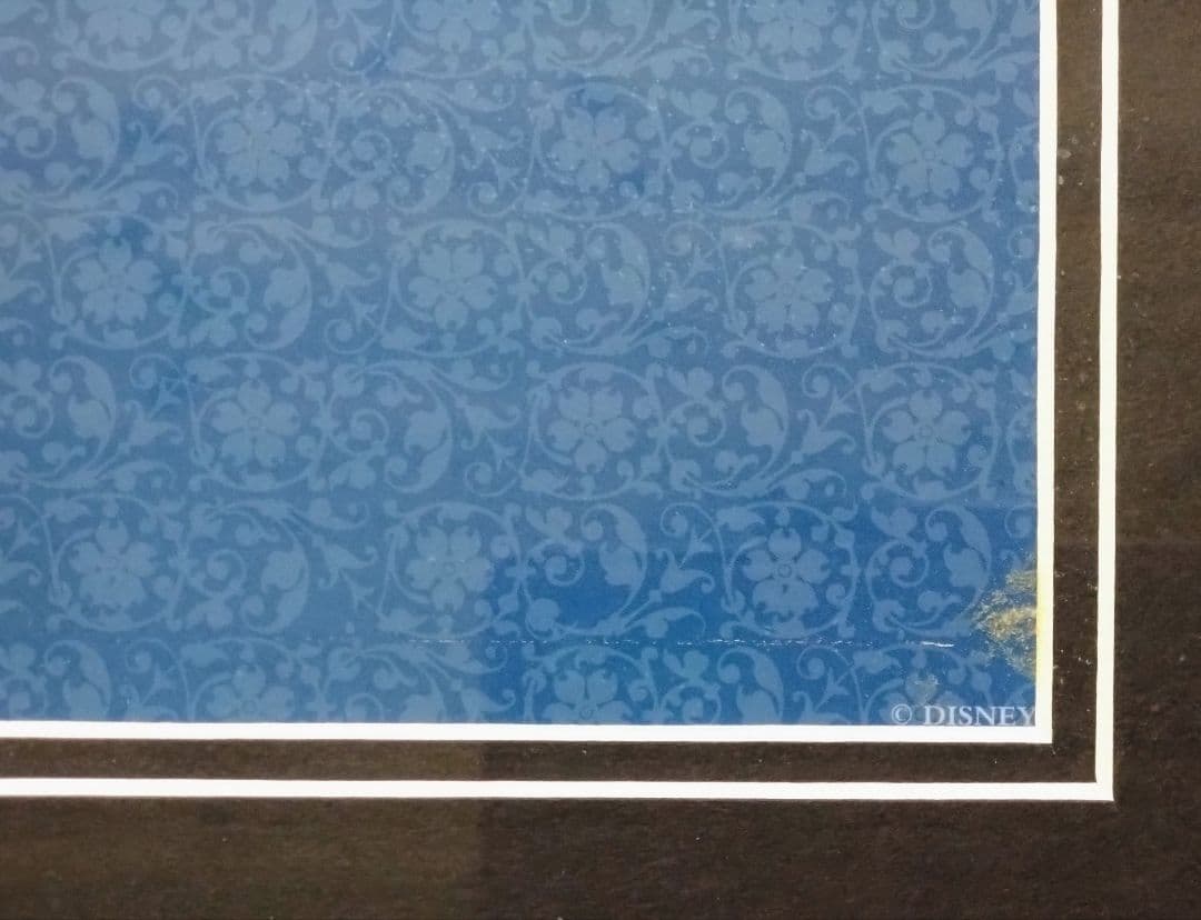 ★WDW★ウォルト・ディズニー・ワールド25周年★記念フレーム★