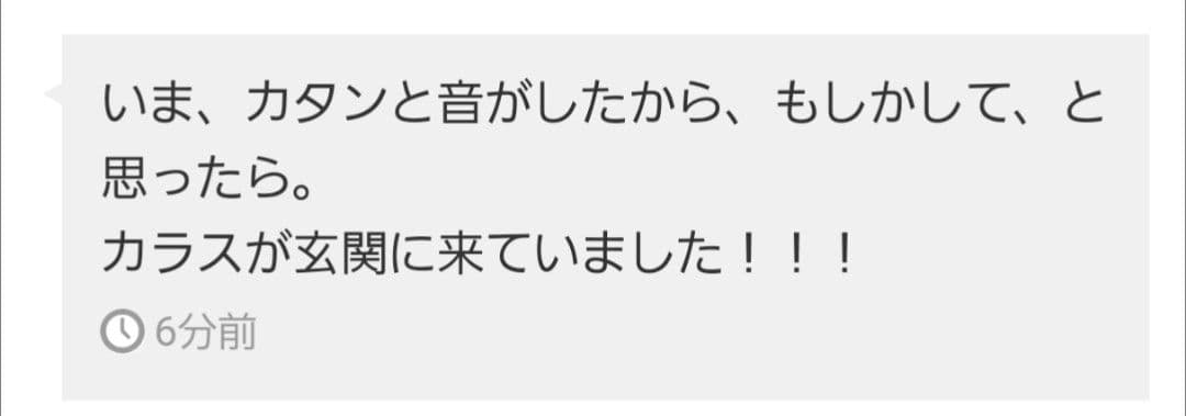 【ご予約品】ファウスト博士の精霊召喚魔術書 〜全てを成し遂げることができた図形版