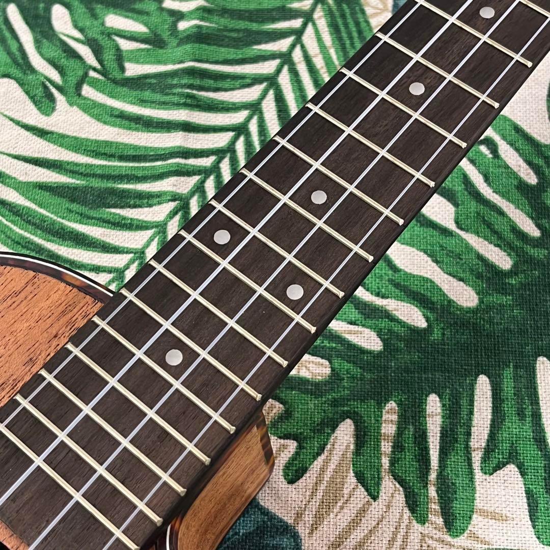 【入門セット】musicのカッタウェイ・コンサートウクレレ【ウクレレ専門店】