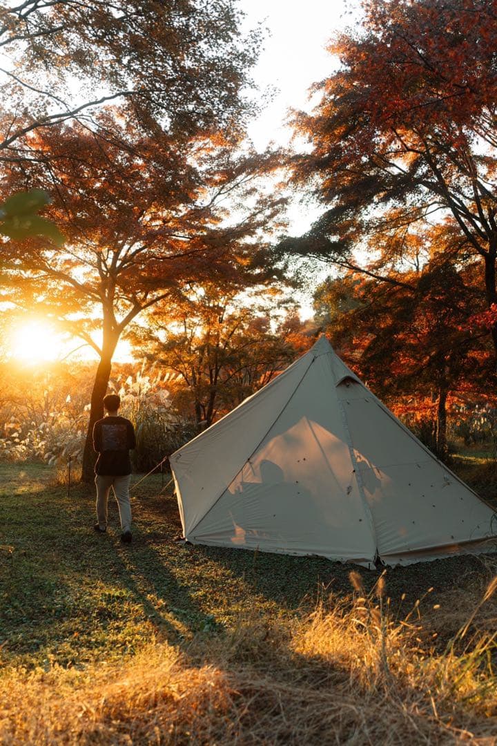 SABBATICALサバティカル モーニンググローリーTC