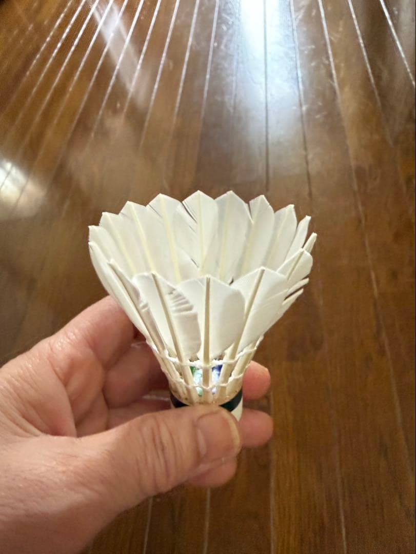 バトミントンシャトル　エアロセンサ500.600