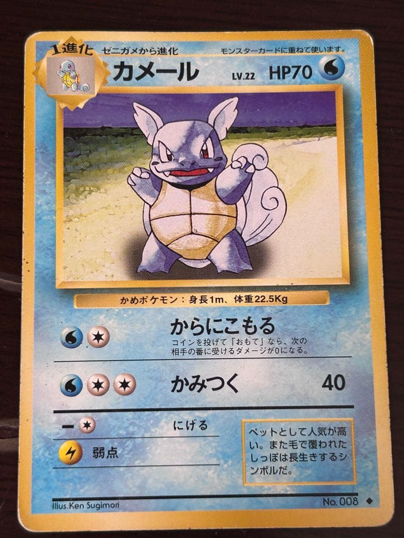 まーさん専用⭐️カメックス ★ 悪いカメックス　セット