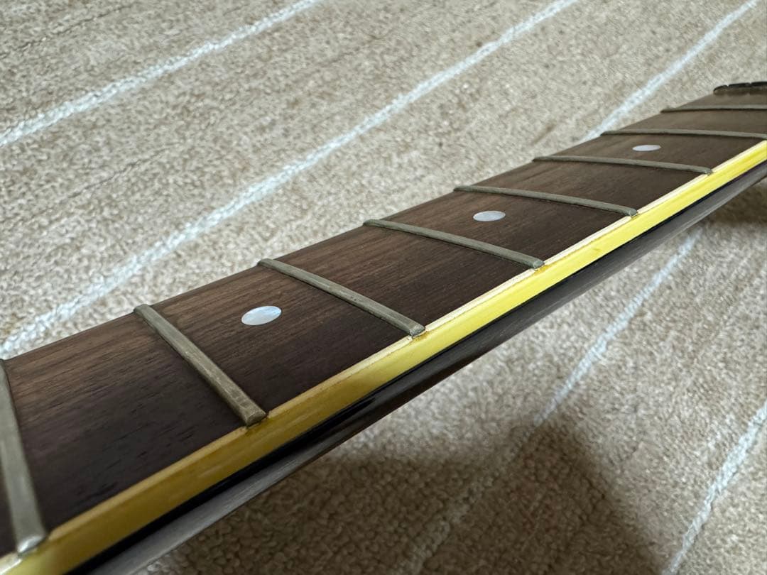 白F.G.I TE-95HT 布袋寅泰　HOTEI 布袋ギター　フェルナンデス