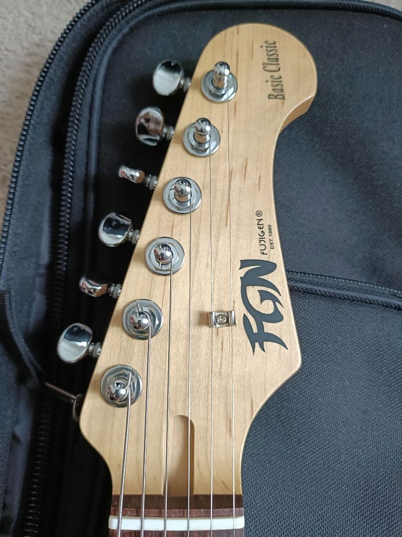 ギター FgN BCST10RBD BLK basic classic