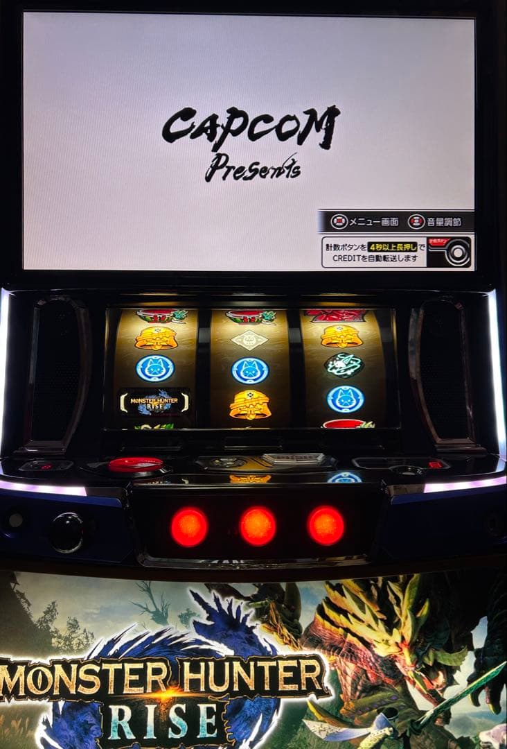 モンハンライズ 実機 データカウンター対応✨ オマケあり