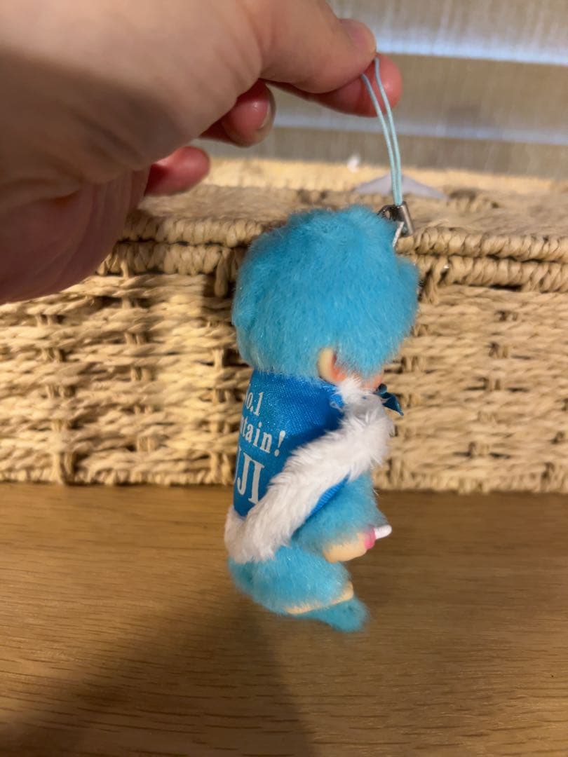 【富士山モンチッチ】No.1MountainFUJI Monchhichi