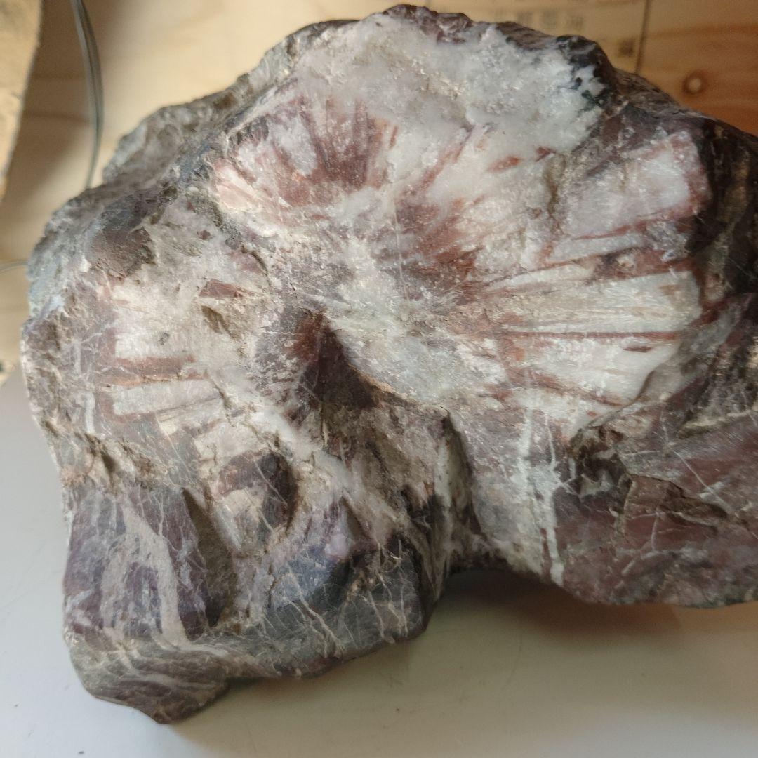 天然石 。根尾村菊花石