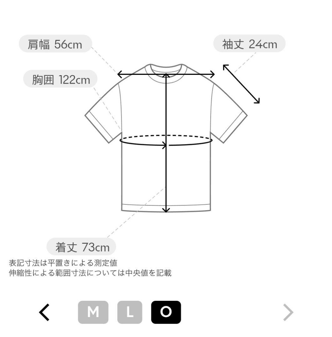 デサント　石川祐希　ペルージャコラボTシャツ　DESCENTE