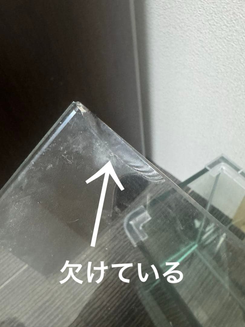 大型水槽　75~80L水槽