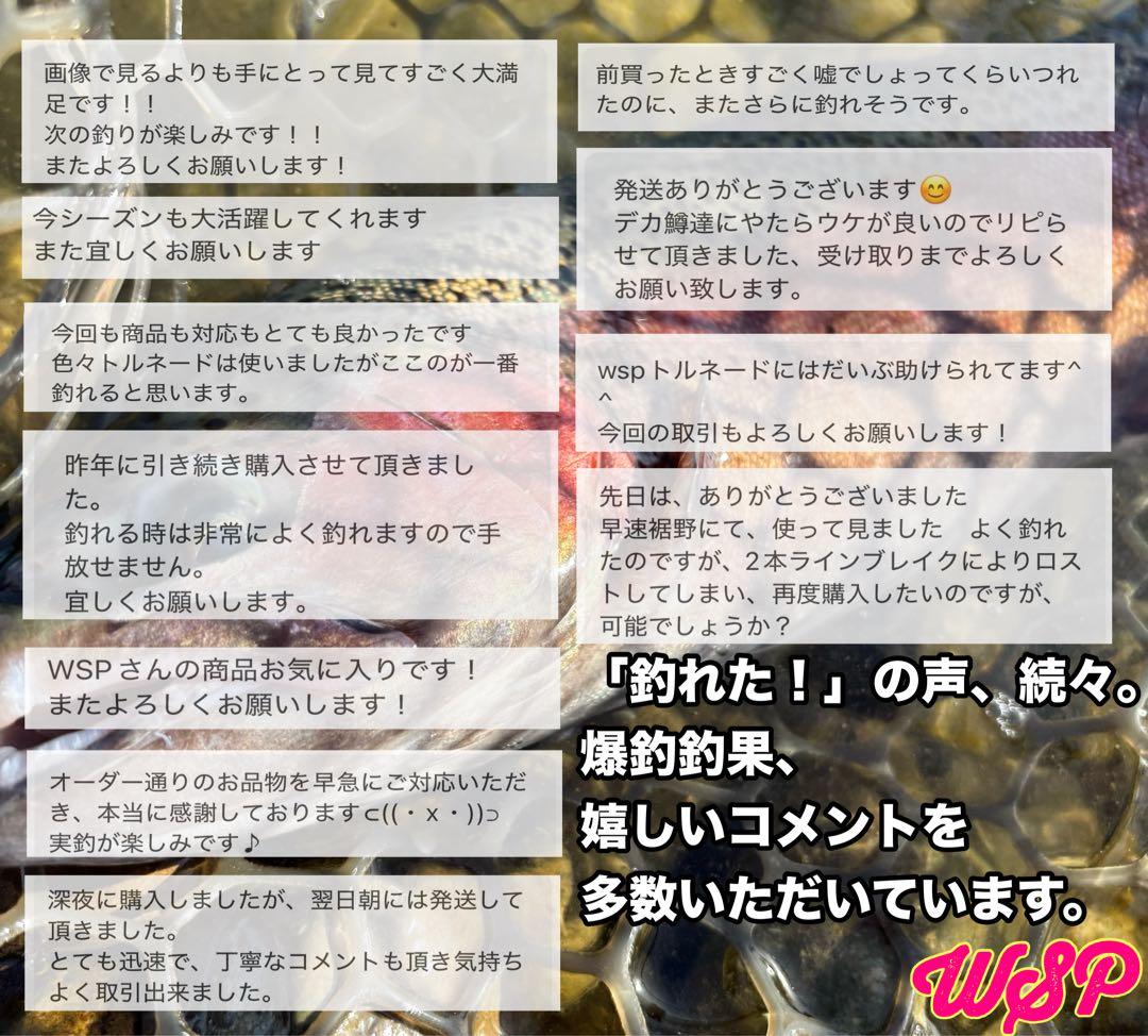 【オーダー受付ページ】WSP 形状記憶　数釣り最強！超万能ルアー