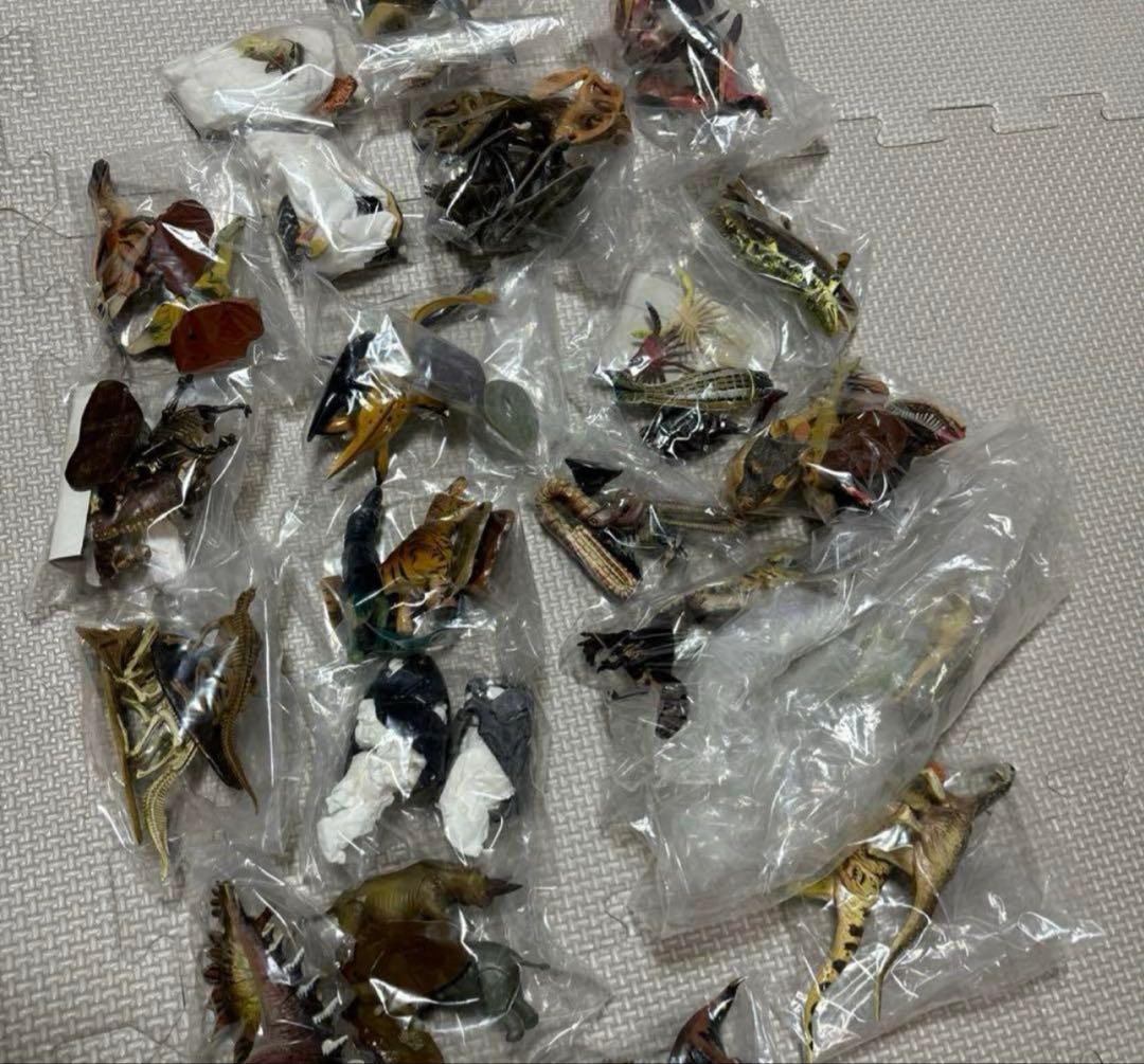 【激安】海洋堂　チョコラザウルス　コンプ　恐竜フィギュア　ジュラシックワールド