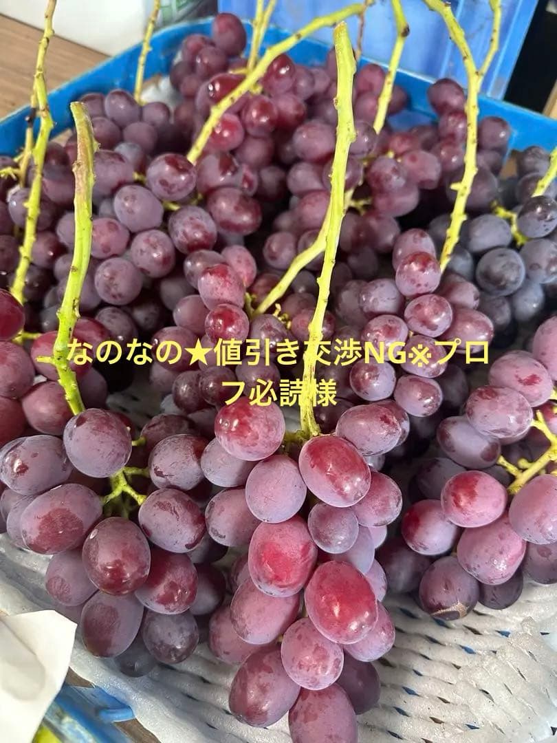 小粒クイーンルージュ⭐︎２キロ　ご家庭用