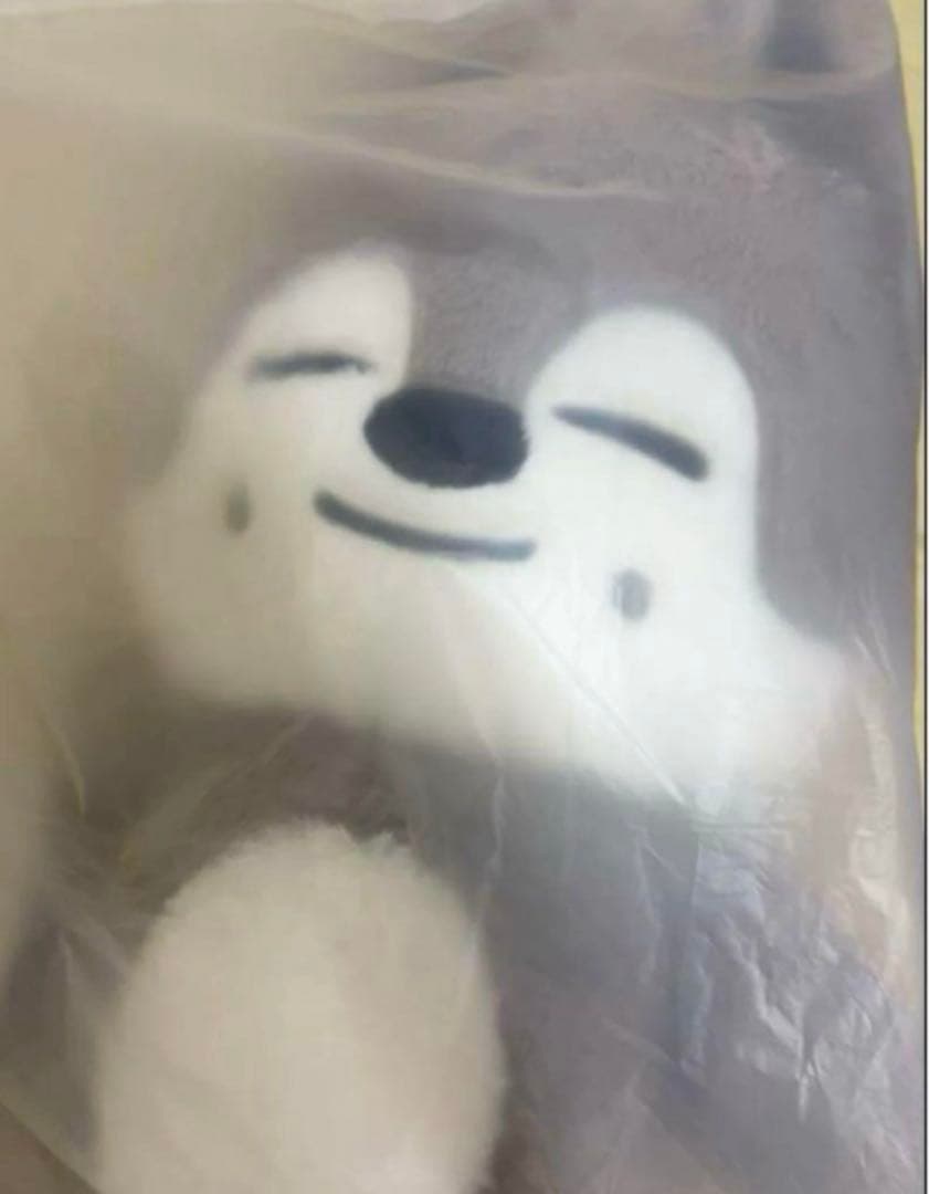 SKZOO ウルフチャン　テディベア　stray kids ぬいぐるみ