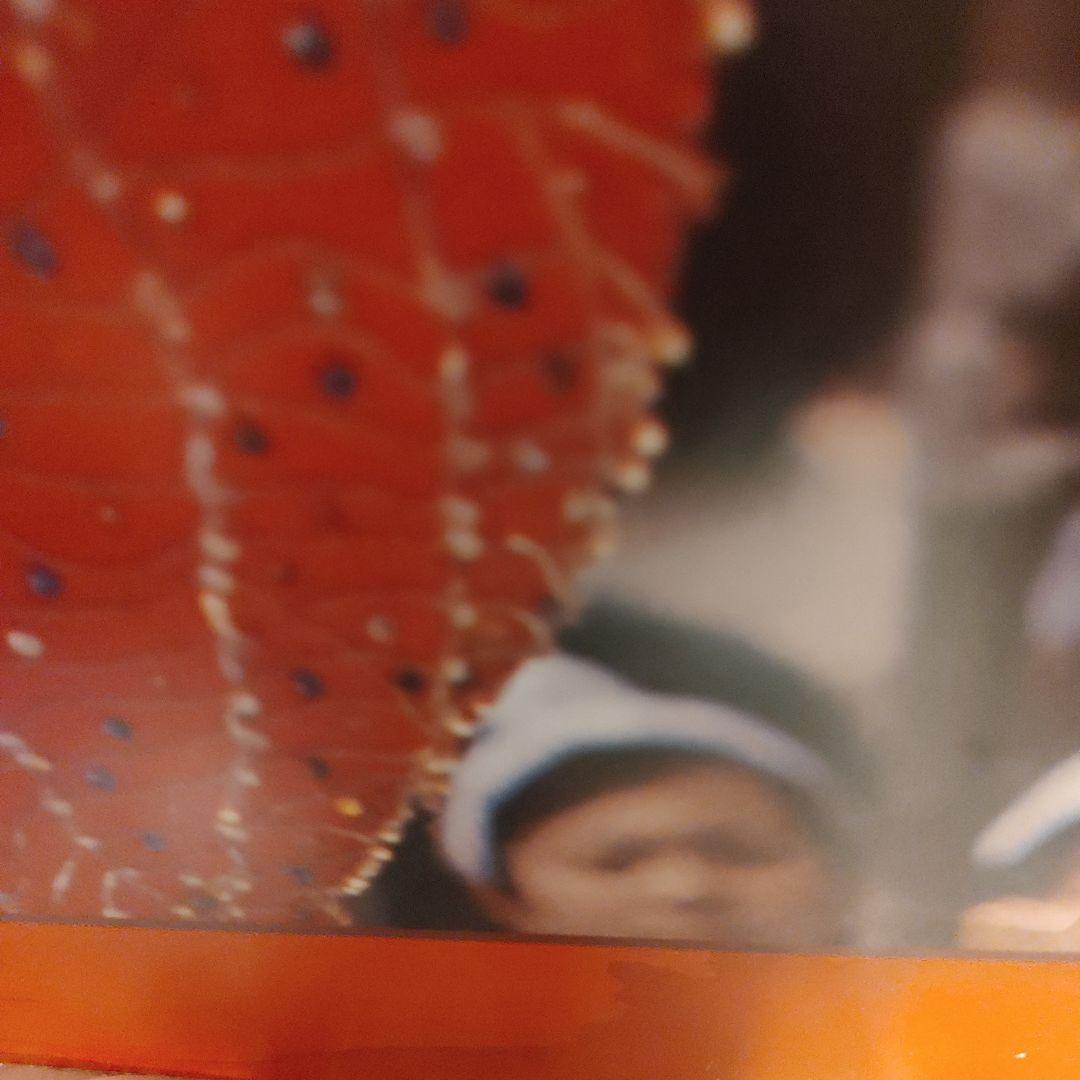 西城秀樹さん木製パネル