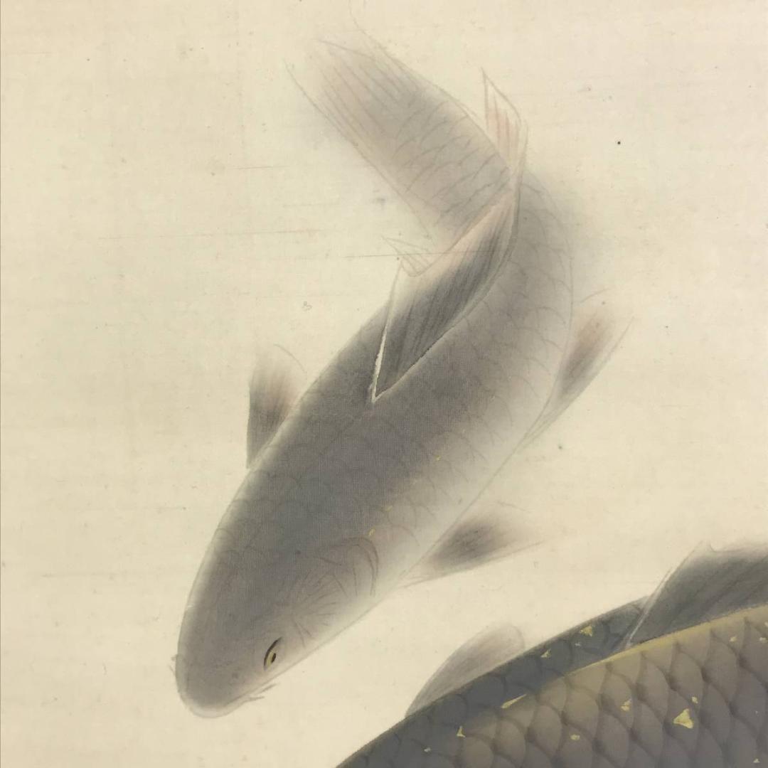 真作/森口白鯰/鯉図/游鯉図/コイ図/遊鯉図/横物/掛軸/名家伝来/AD-992