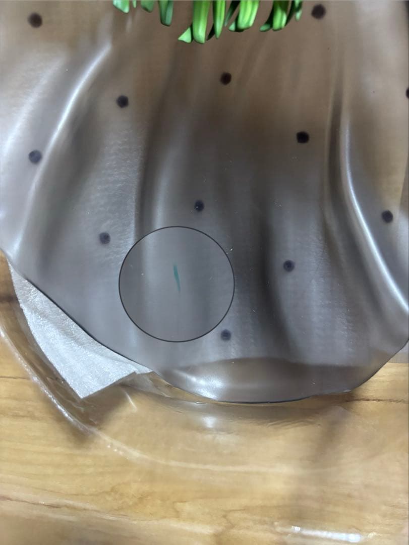 PreciousG.E.M. コードギアス 復活のルルーシュ Ｌ.Ｌ.＆Ｃ.Ｃ.