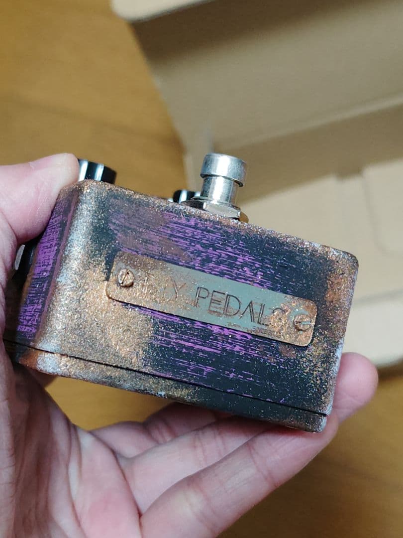 ギター Kardian & Petla FZ4A