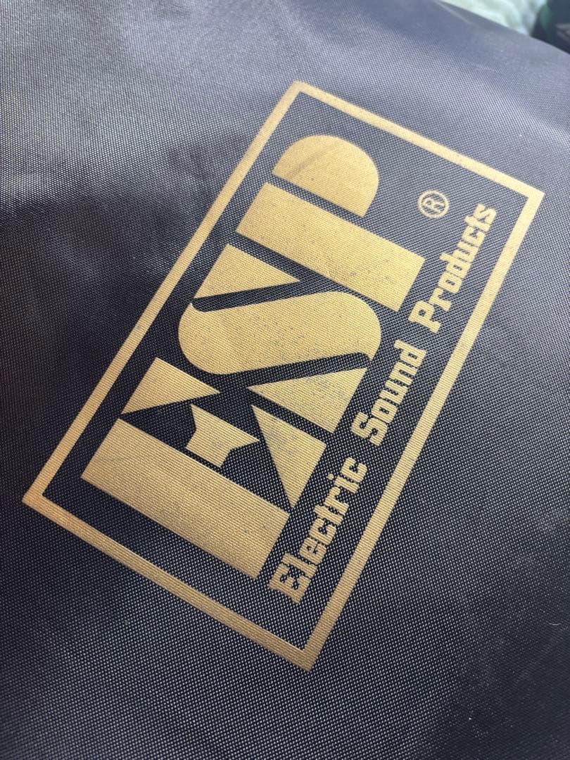 ESP BanG Dream! M-Ⅱ SAYO 氷川紗夜　バンドリ