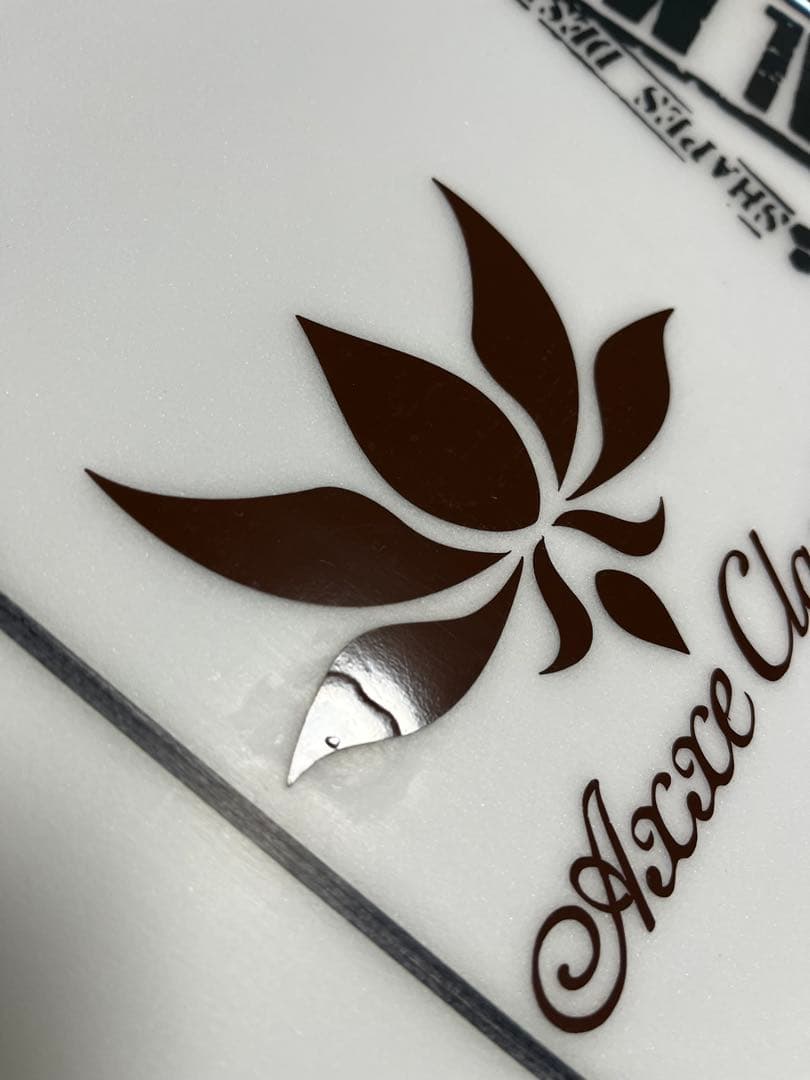 チャンネルアイランド ダンプスターダイバー2 DD2