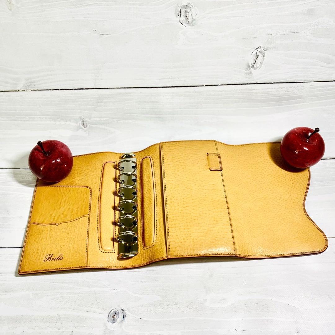 ブレイリオシステム手帳 カルマ ミネルバボックス ミニ6サイズ ベルト付き