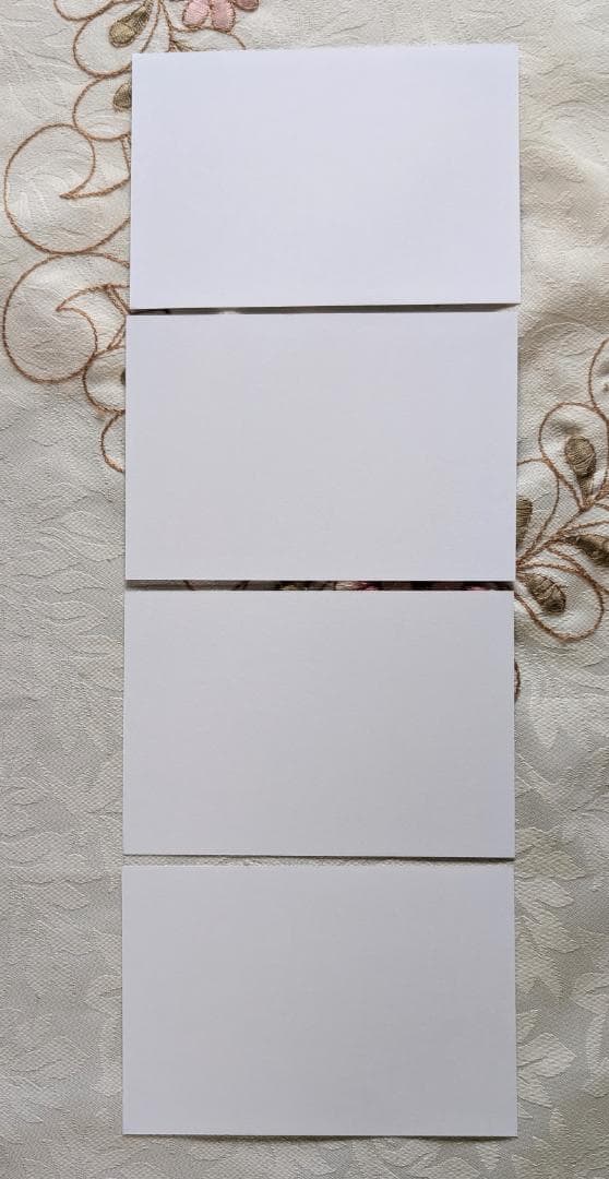 29特典 九龍ジェネリックロマンス 1～11 アニメイト COMIC ZIN