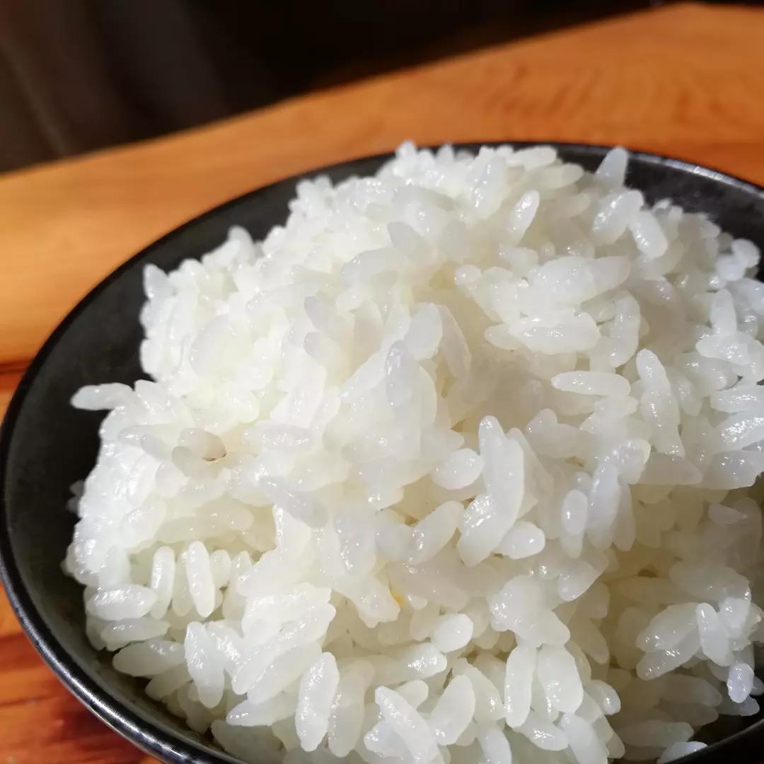 農家直送　子育て応援米　農薬不使用　9.5キロ　令和7年産　赤城産ちほみのり