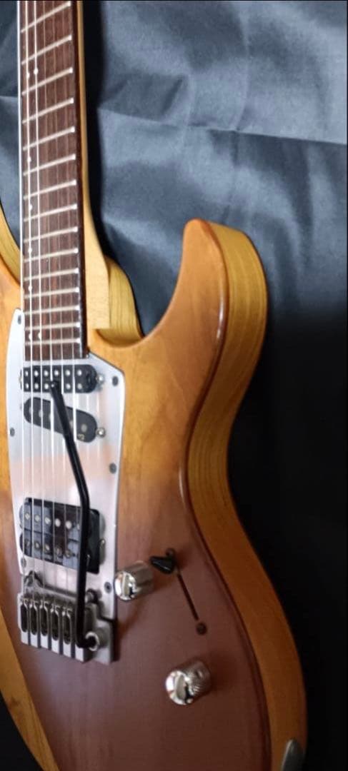 ギター Selva Ignight 545