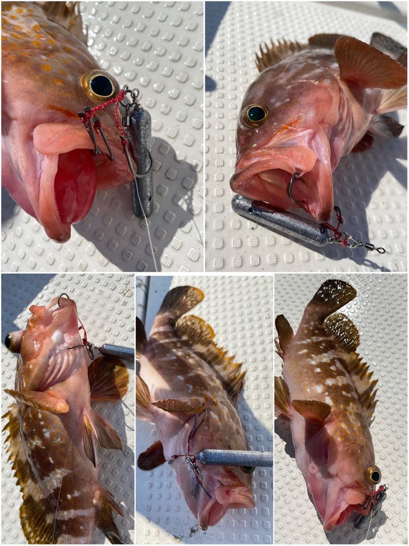 コスパ最強で釣果抜群！★エビ針ジグ★魚釣り 船釣り 仕掛け ★送料無料★