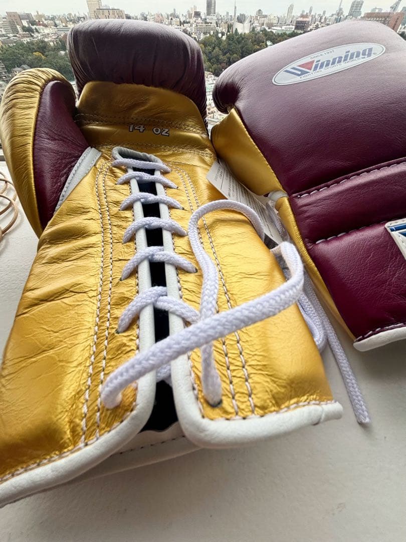 Winning ボクシンググローブ 14 oz 赤/金