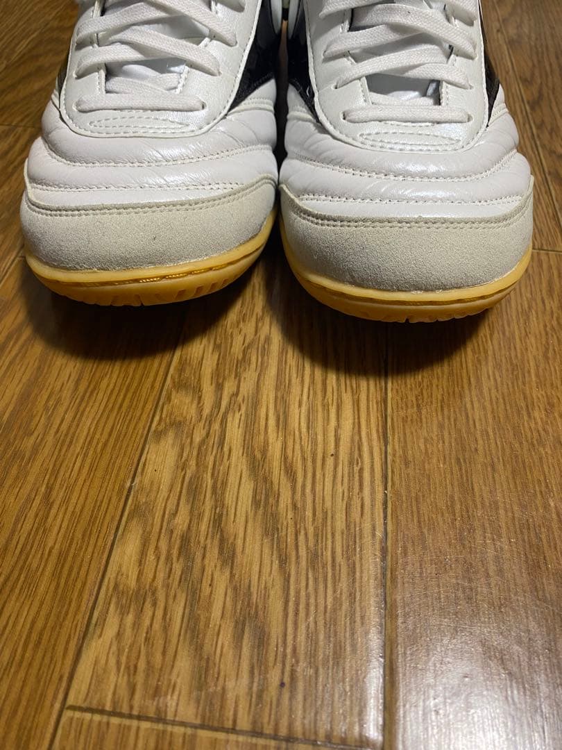 モレリア in インドア用