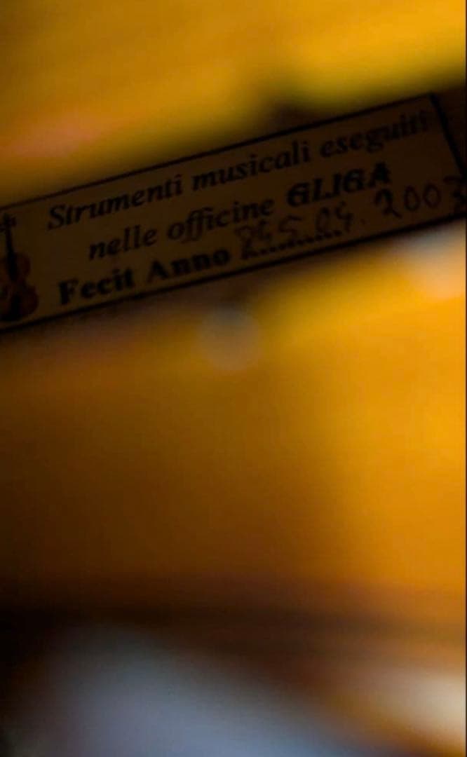 GLIGA 4/4 2003年製　バイオリン　ケース　イーストマン