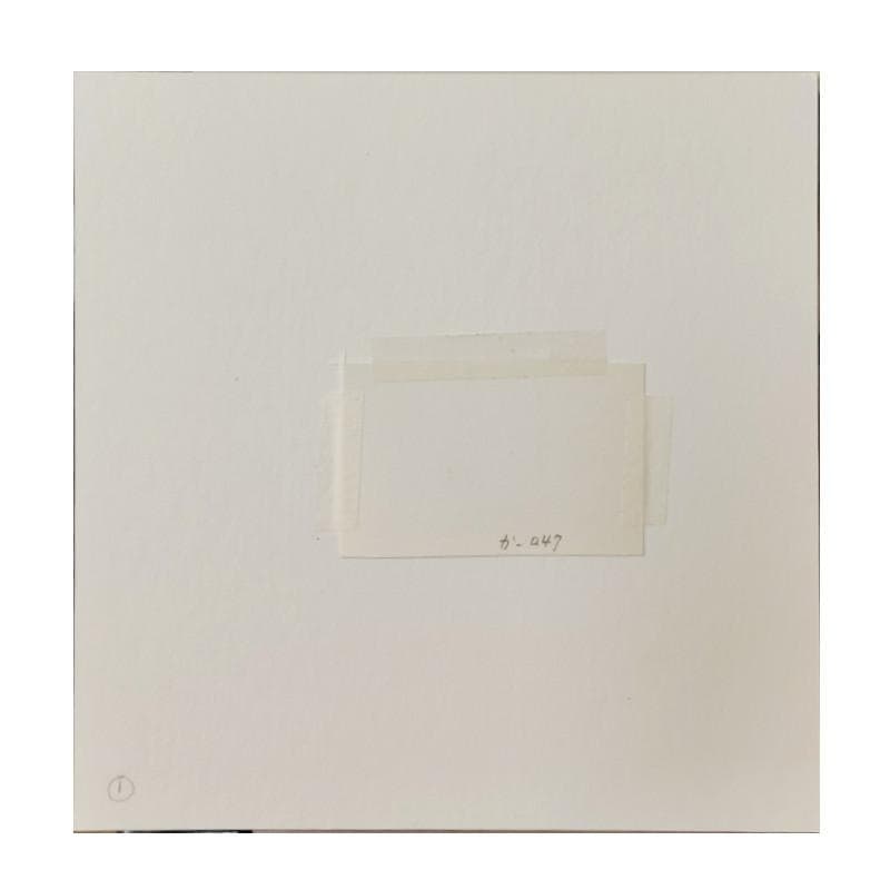 ☆坂本直行☆「エゾウサギギク」ペン画　小作品２０角額　未使用！