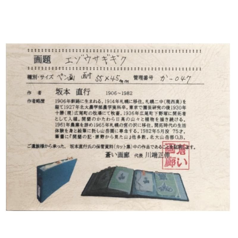 ☆坂本直行☆「エゾウサギギク」ペン画　小作品２０角額　未使用！