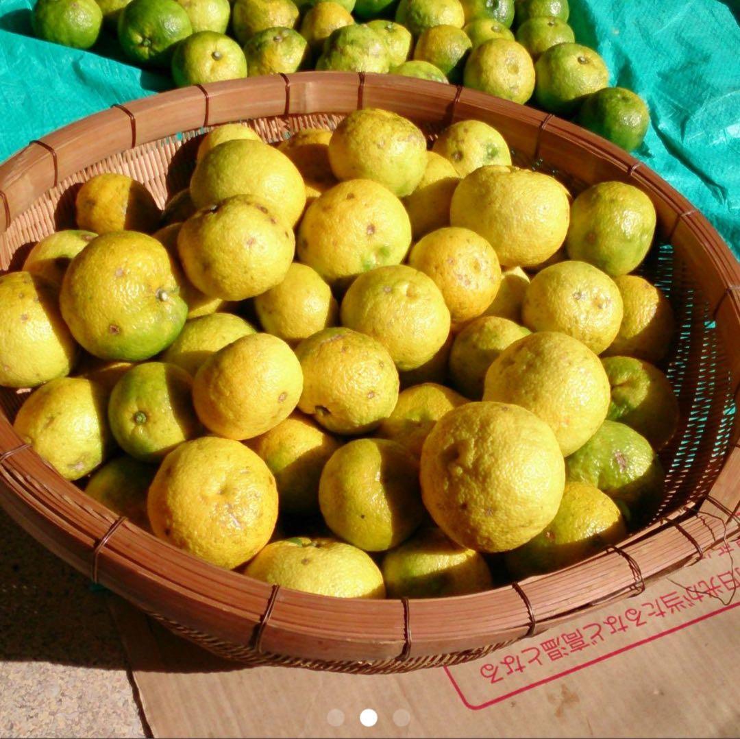 柚子酢3升☆ゆず果汁☆ 高知県産