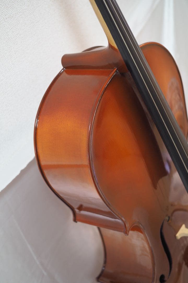 Carlo Giordano チェロ　SC-90L 4/4 ハードケース付き