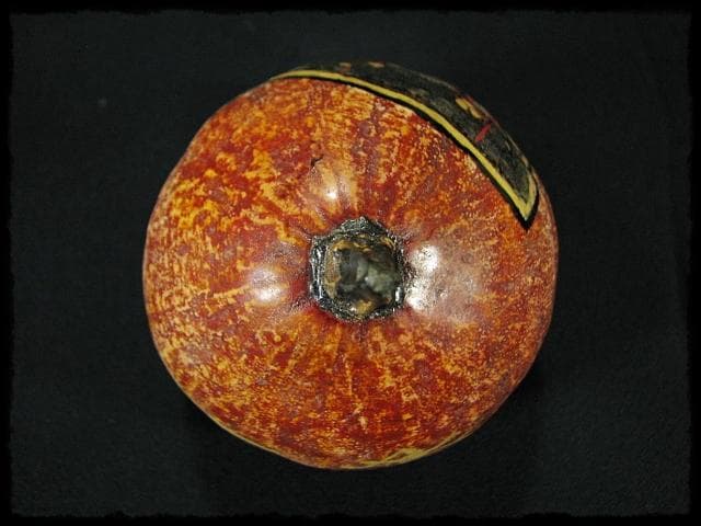 田中 篁秋 可忘茶 かぼちゃ 茶入 茶道具 e139