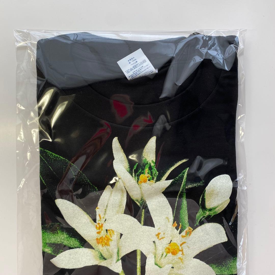 TENBLANK Tシャツ　セントマイケルコラボ 佐藤健 テンブランク Mサイズ