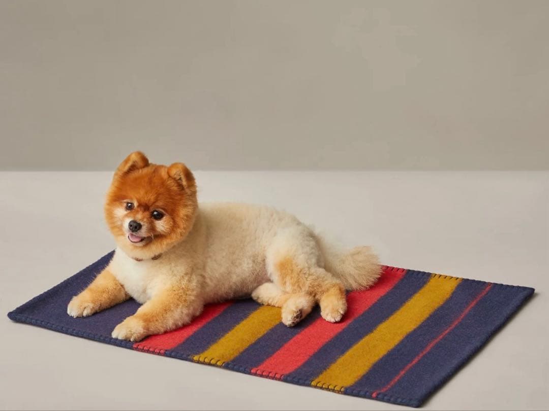 （新品未使用）エルメス　犬用プレード 《ロカバール》 PM