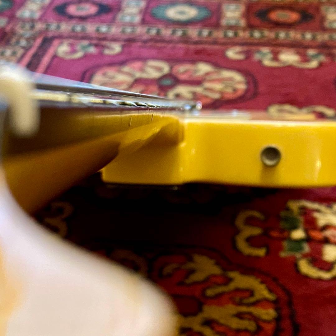 Bacchus Universe Series テレキャスター